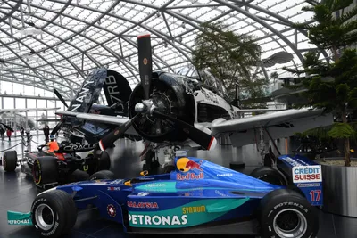 DSC_7080 (Large).JPG